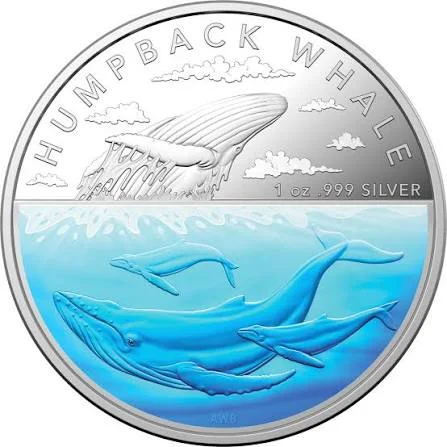 2023 1oz Silver - Australian Antarctic Territory Humpback Whale Coloured Coin in Box