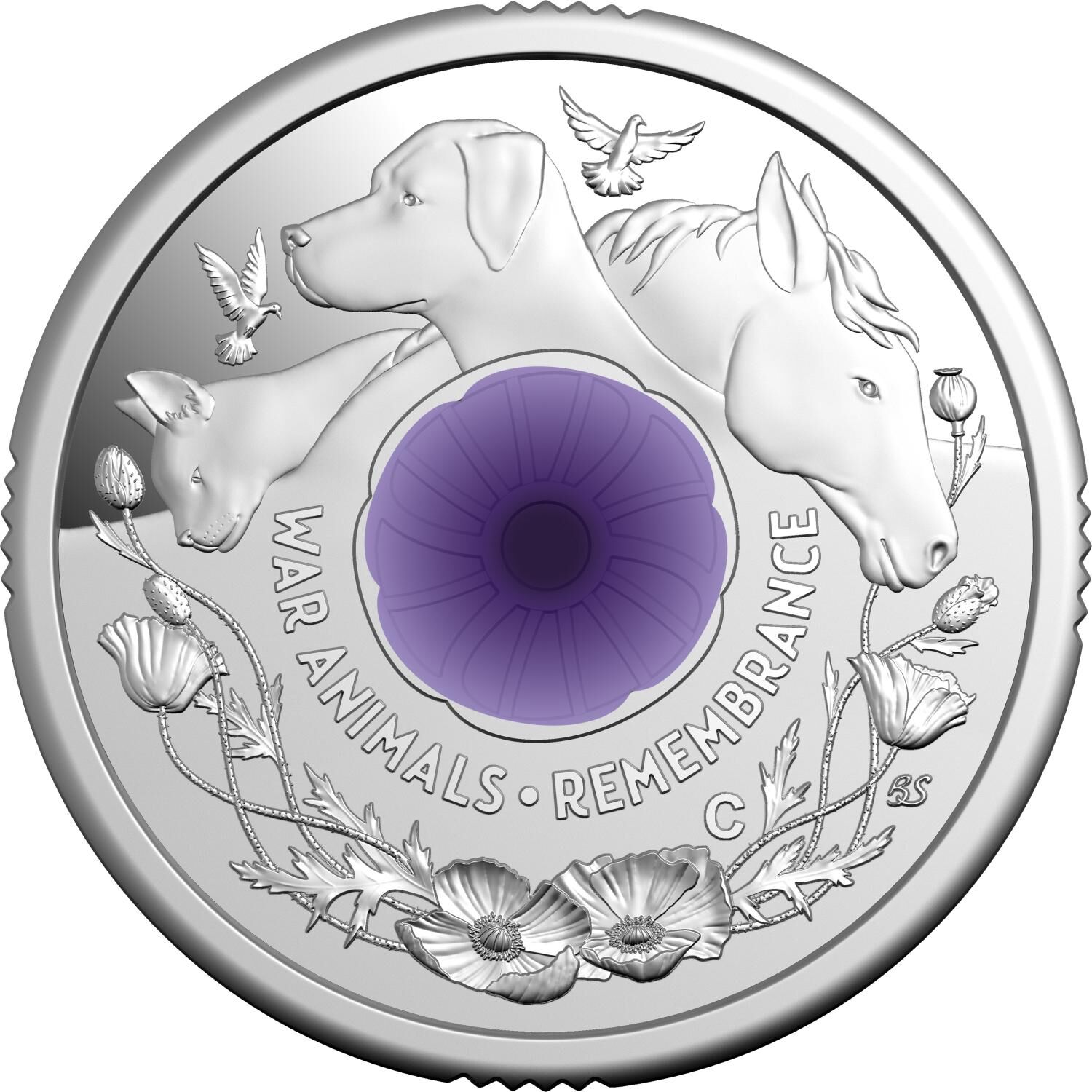 2024 Silver 'C' Mintmark $2 Proof Coin - Purple Poppy War Animals Remembrance